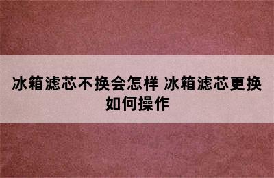 冰箱滤芯不换会怎样 冰箱滤芯更换如何操作